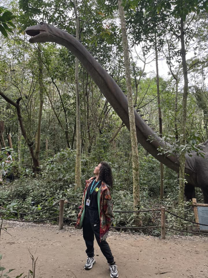 TERRA DOS DINOS - MIGUEL PEREIRA - Imagem 6