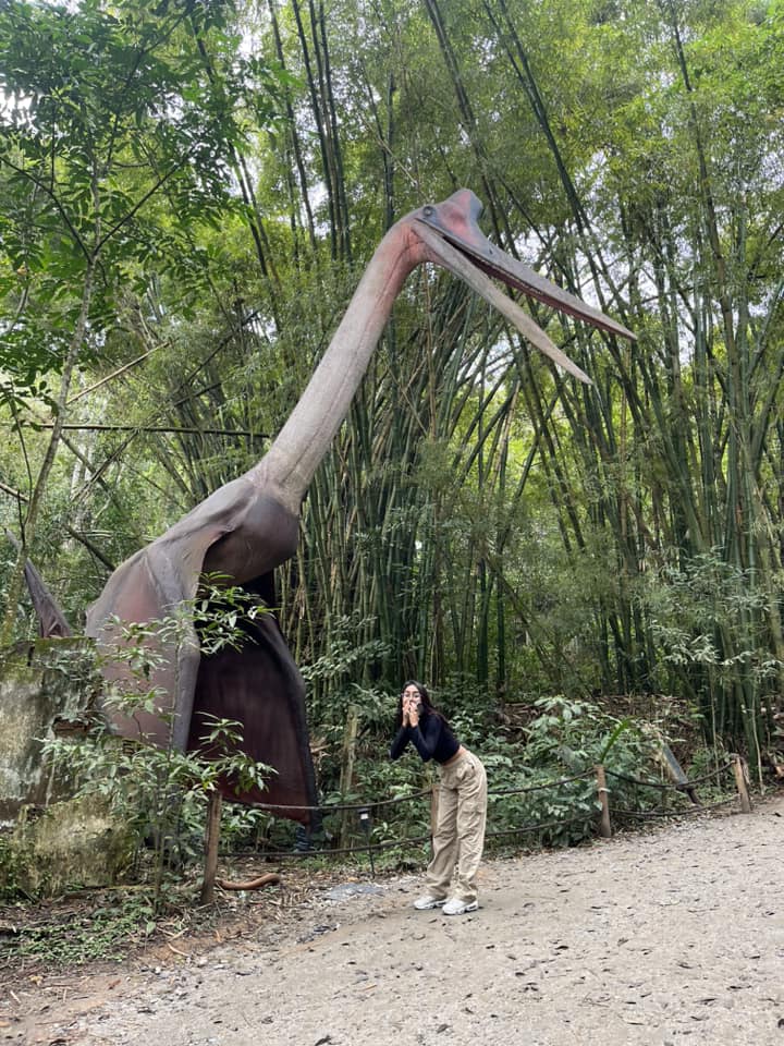 TERRA DOS DINOS - MIGUEL PEREIRA - Imagem 5